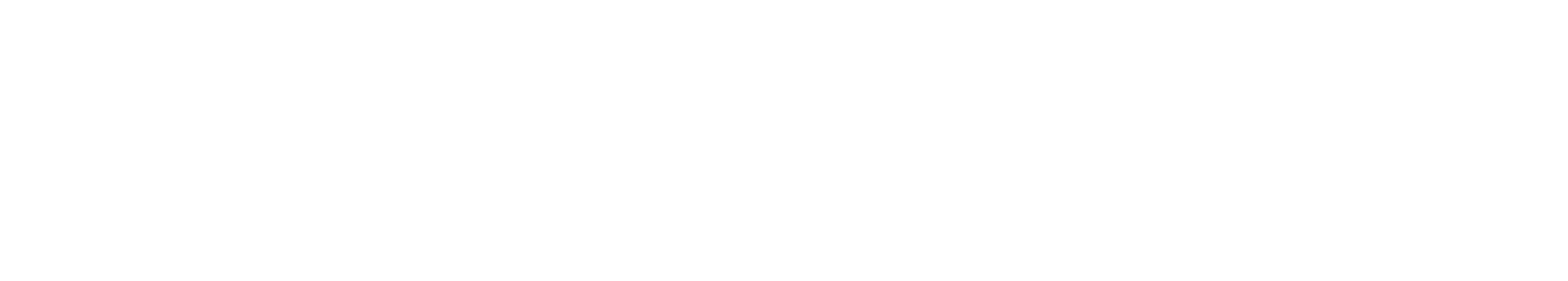 Dynamic Digital Capital - Crypto-Native Fund